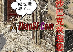 传奇私服网通发布网