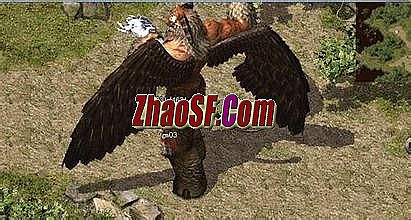 传奇私服 登陆器