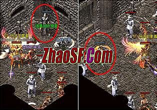 超变加速单职业传奇